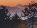Mt. Fuji